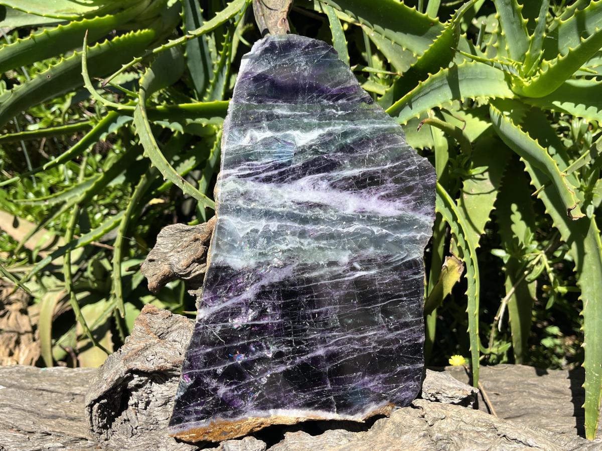 Polished Large Watermelon Fluorite Slice x 1 From Uis, Namibia