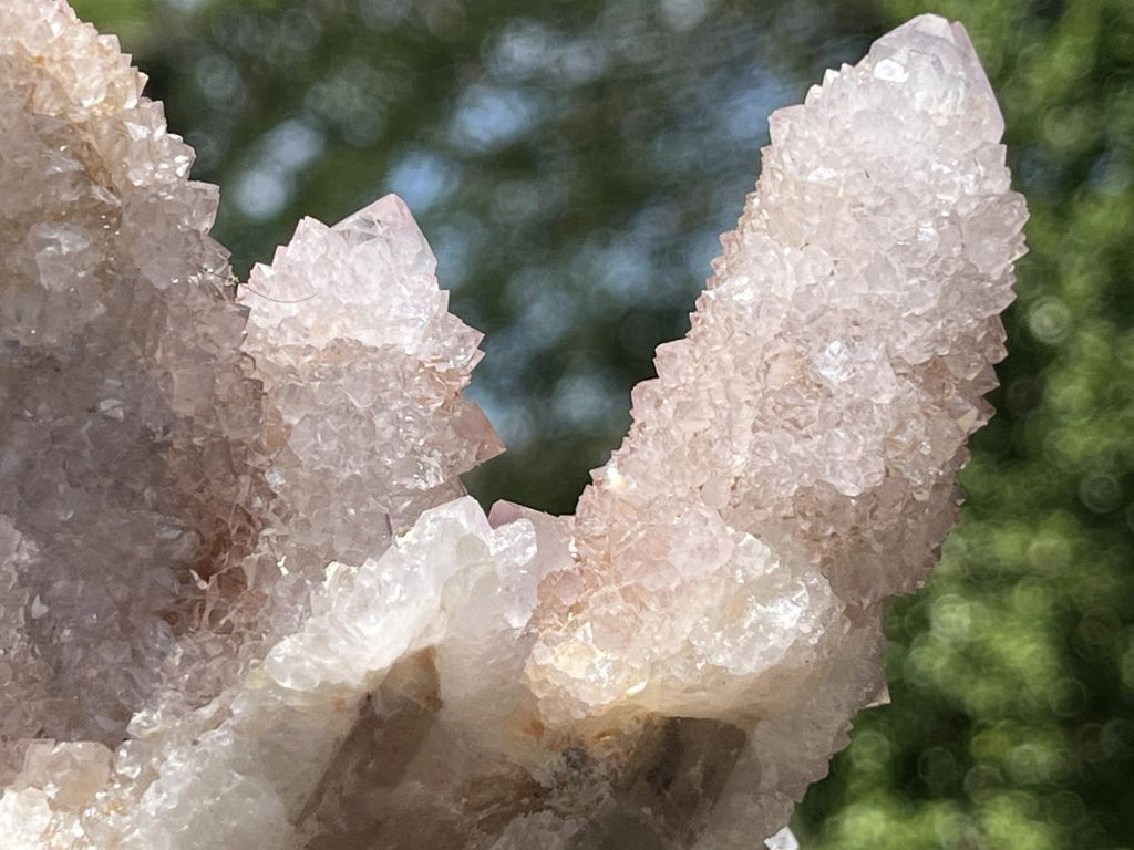 Natural Spirit Ametrine Cluster x 1 From Boekenhouthoek, South Africa