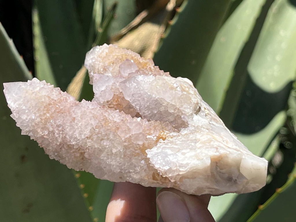 Natural Spirit Ametrine Cluster x 1 From Boekenhouthoek, South Africa