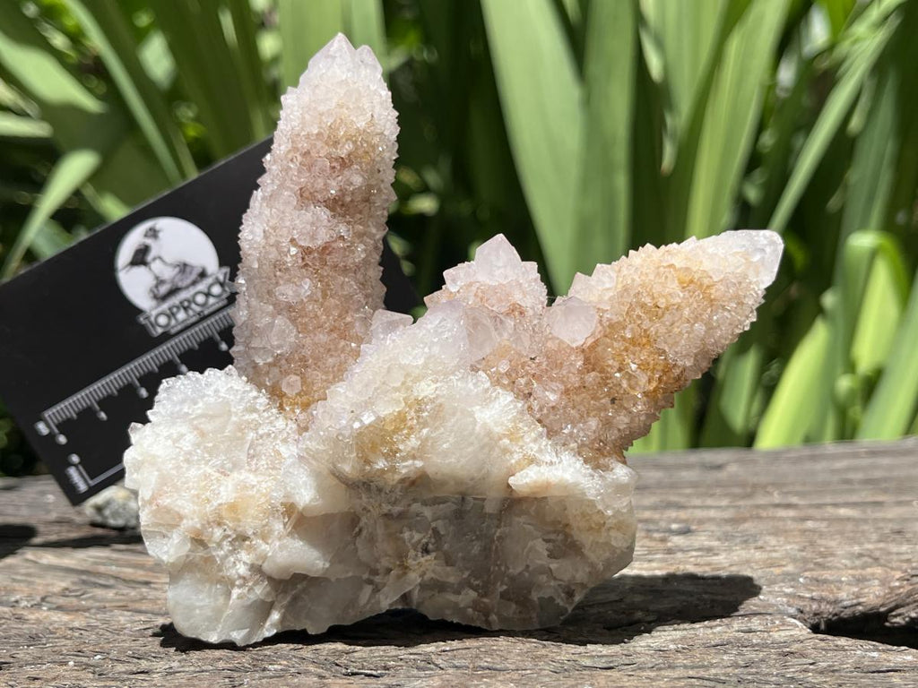 Natural Spirit Ametrine Cluster x 1 From Boekenhouthoek, South Africa