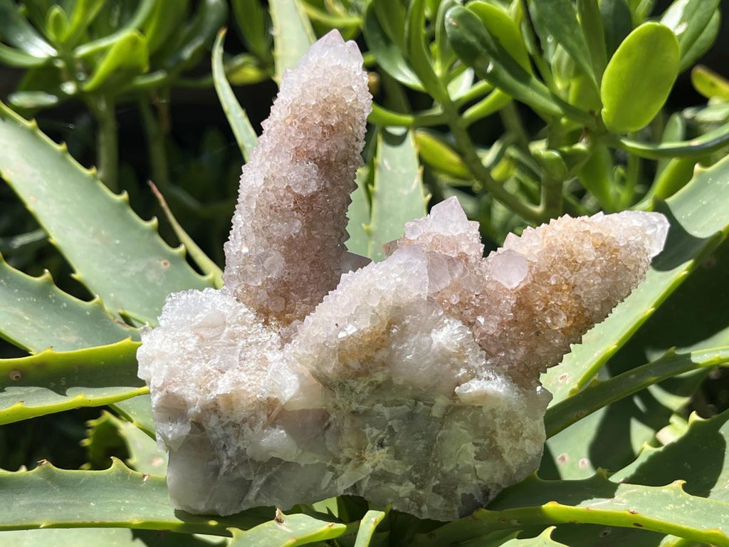 Natural Spirit Ametrine Cluster x 1 From Boekenhouthoek, South Africa