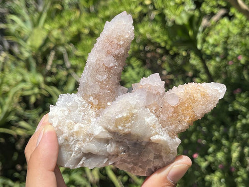 Natural Spirit Ametrine Cluster x 1 From Boekenhouthoek, South Africa