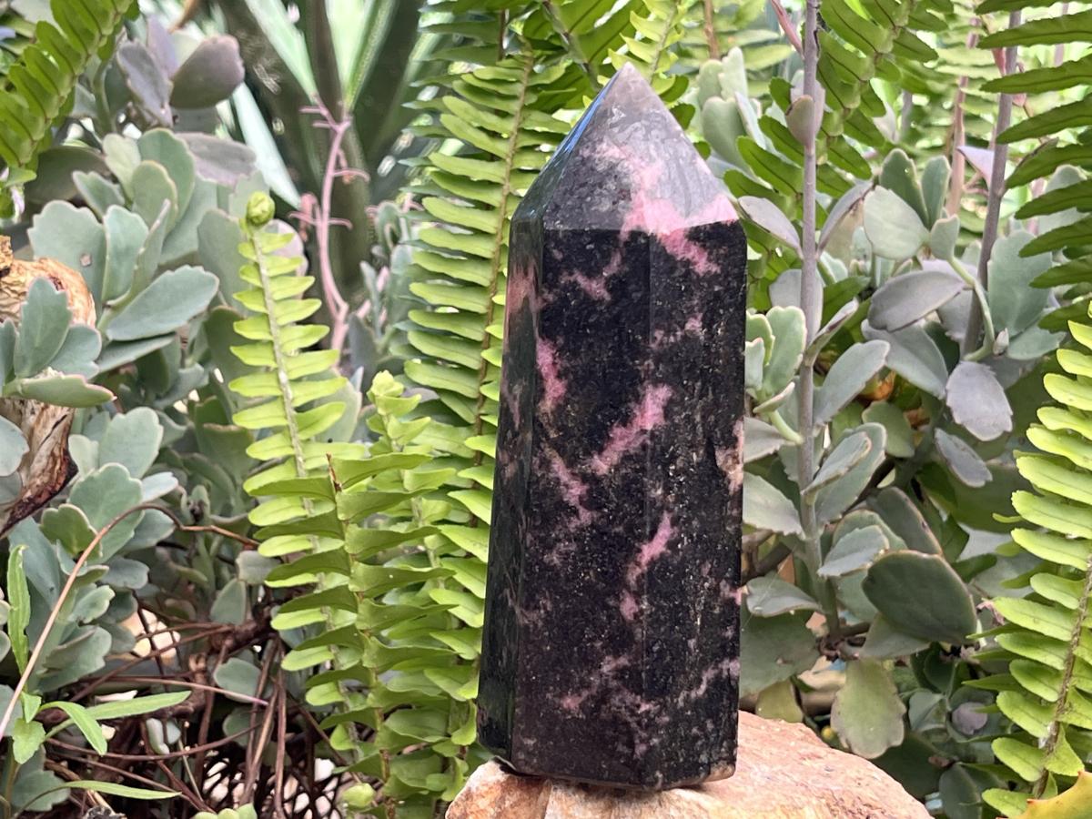 Polished Pink Rhodonite Display Crystal x 1 From Madagascar