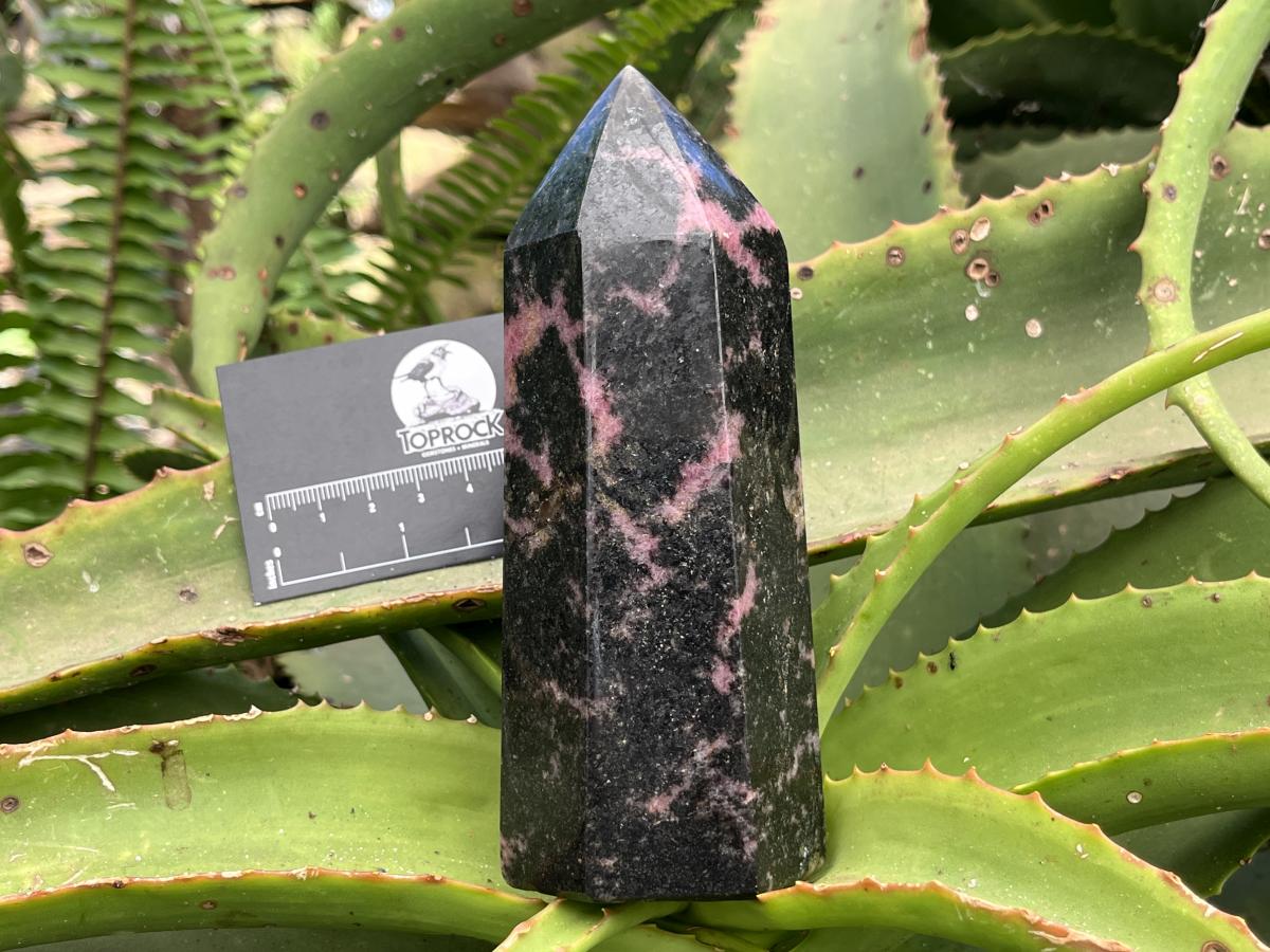 Polished Pink Rhodonite Display Crystal x 1 From Madagascar