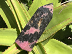 Polished Pink Rhodonite Display Crystal x 1 From Madagascar