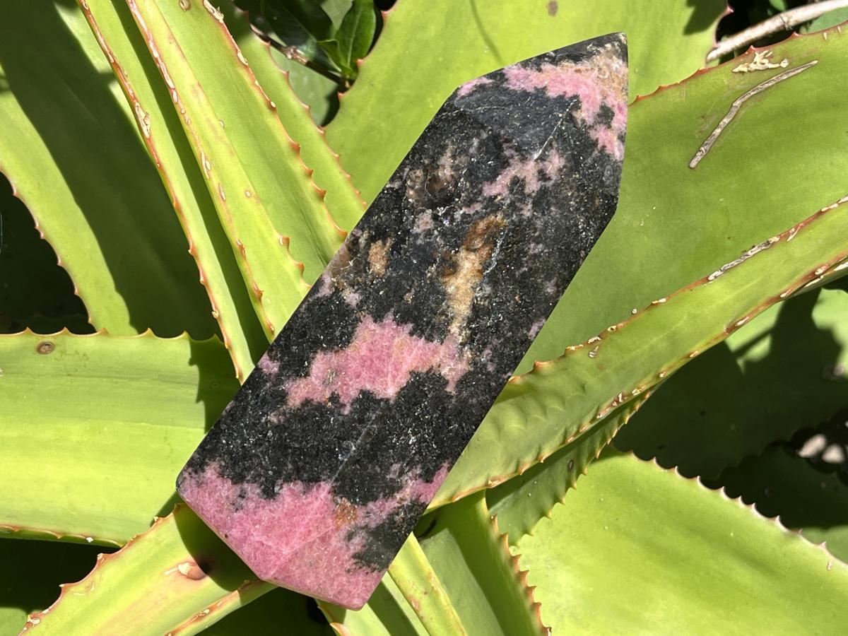 Polished Pink Rhodonite Display Crystal x 1 From Madagascar