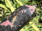 Polished Pink Rhodonite Display Crystal x 1 From Madagascar