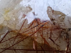 Polished XL Gold and Copper Rutile Quartz Crystal x 1 From Madagascar