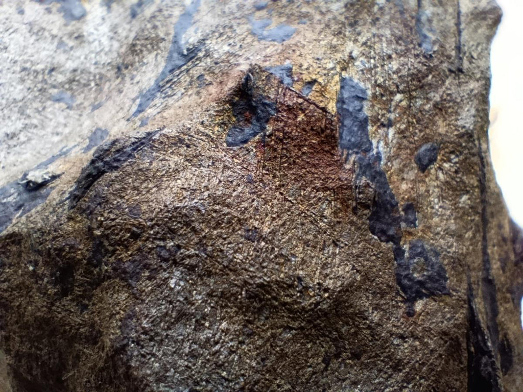 Natural Ultra Rare Large Gibeon Meteorite Specimen x 1 From Gibeon, Namibia