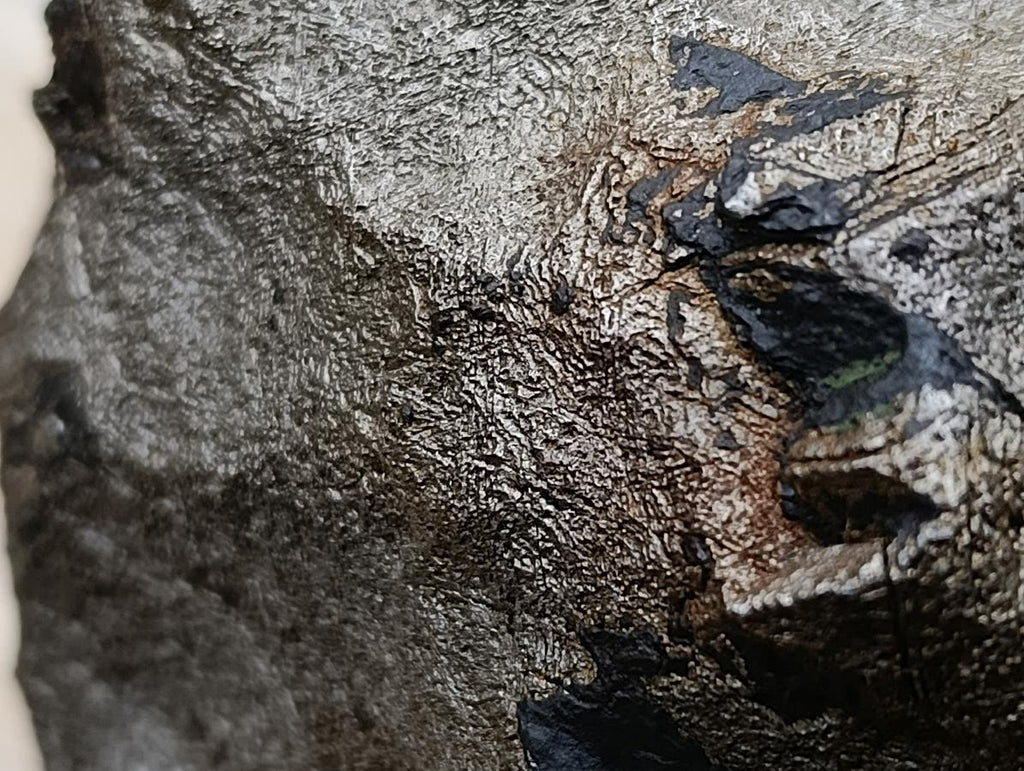 Natural Ultra Rare Large Gibeon Meteorite Specimen x 1 From Gibeon, Namibia