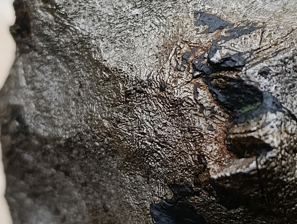 Natural Ultra Rare Large Gibeon Meteorite Specimen x 1 From Gibeon, Namibia