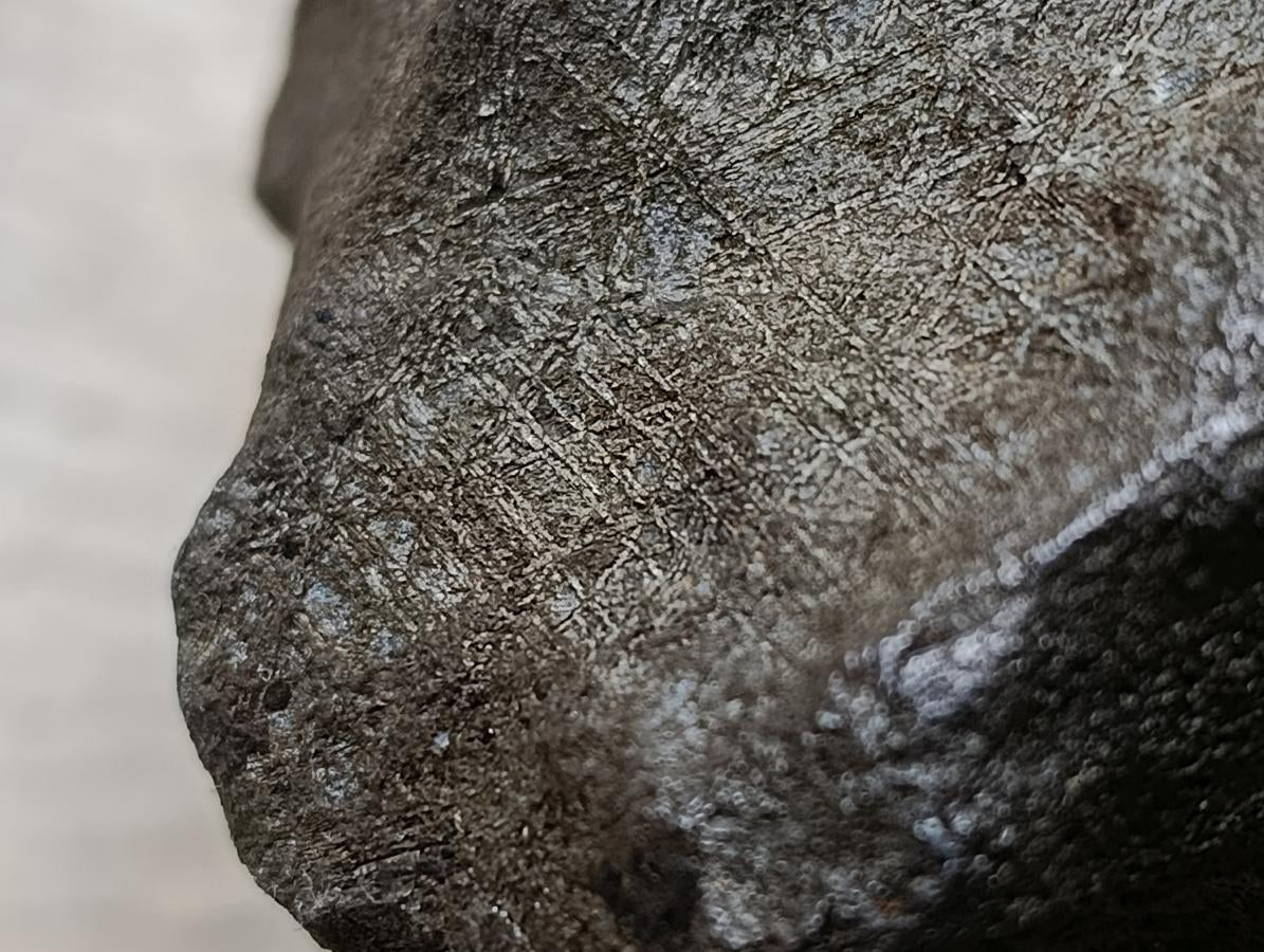 Natural Ultra Rare Large Gibeon Meteorite Specimen x 1 From Gibeon, Namibia