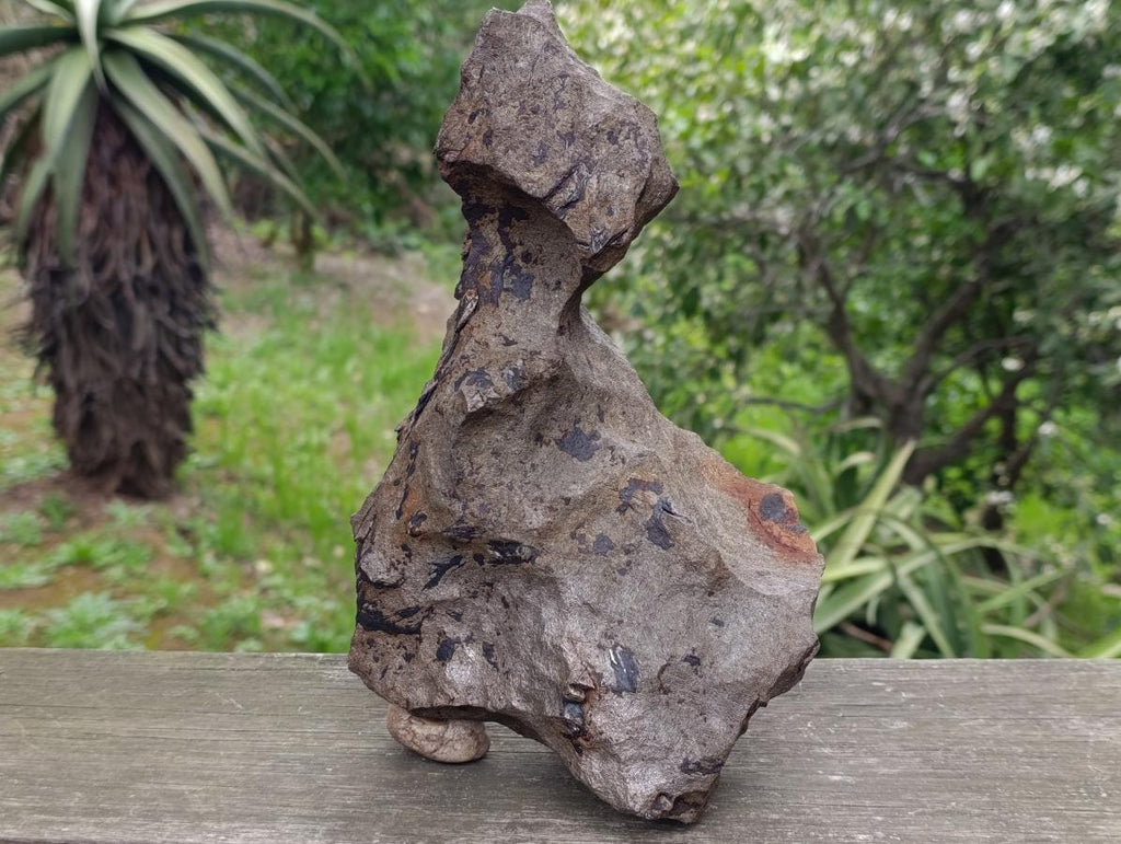 Natural Ultra Rare Large Gibeon Meteorite Specimen x 1 From Gibeon, Namibia