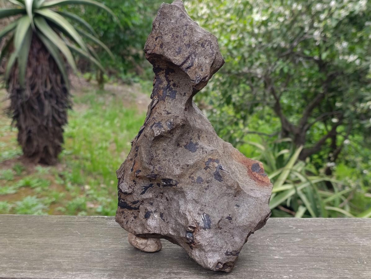 Natural Ultra Rare Large Gibeon Meteorite Specimen x 1 From Gibeon, Namibia