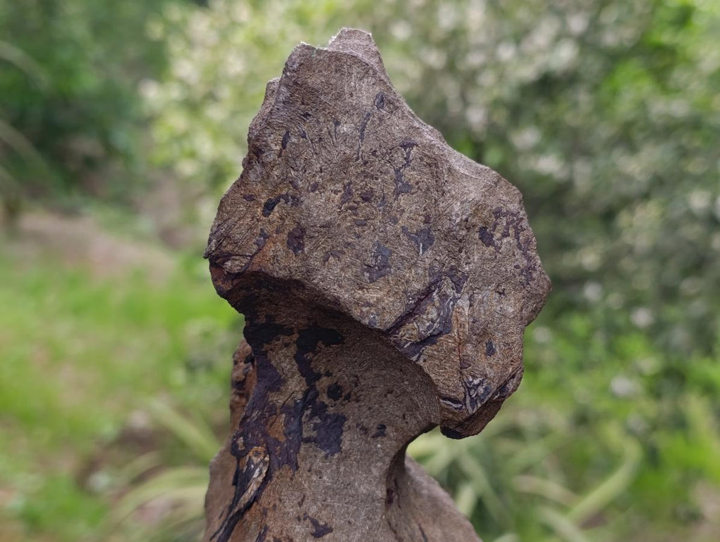 Natural Ultra Rare Large Gibeon Meteorite Specimen x 1 From Gibeon, Namibia