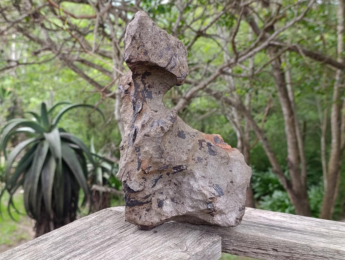 Natural Ultra Rare Large Gibeon Meteorite Specimen x 1 From Gibeon, Namibia