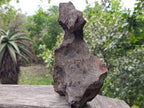 Natural Ultra Rare Large Gibeon Meteorite Specimen x 1 From Gibeon, Namibia