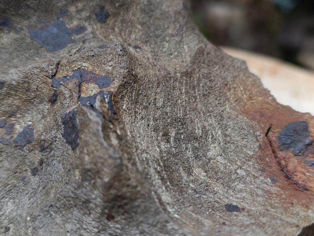 Natural Ultra Rare Large Gibeon Meteorite Specimen x 1 From Gibeon, Namibia