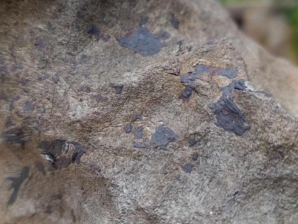 Natural Ultra Rare Large Gibeon Meteorite Specimen x 1 From Gibeon, Namibia