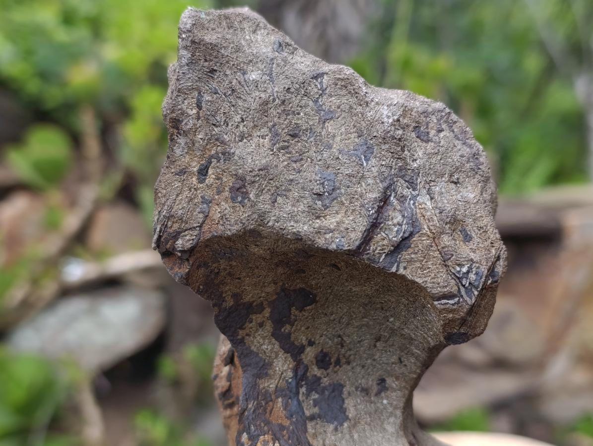 Natural Ultra Rare Large Gibeon Meteorite Specimen x 1 From Gibeon, Namibia