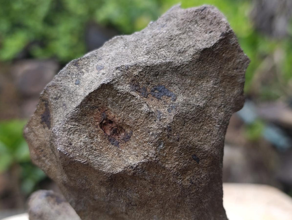 Natural Ultra Rare Large Gibeon Meteorite Specimen x 1 From Gibeon, Namibia