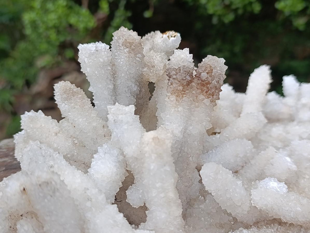 Natural XL Lesotho Snow Finger Crystal Cluster x 1 From Albert's Mountain, Lesotho