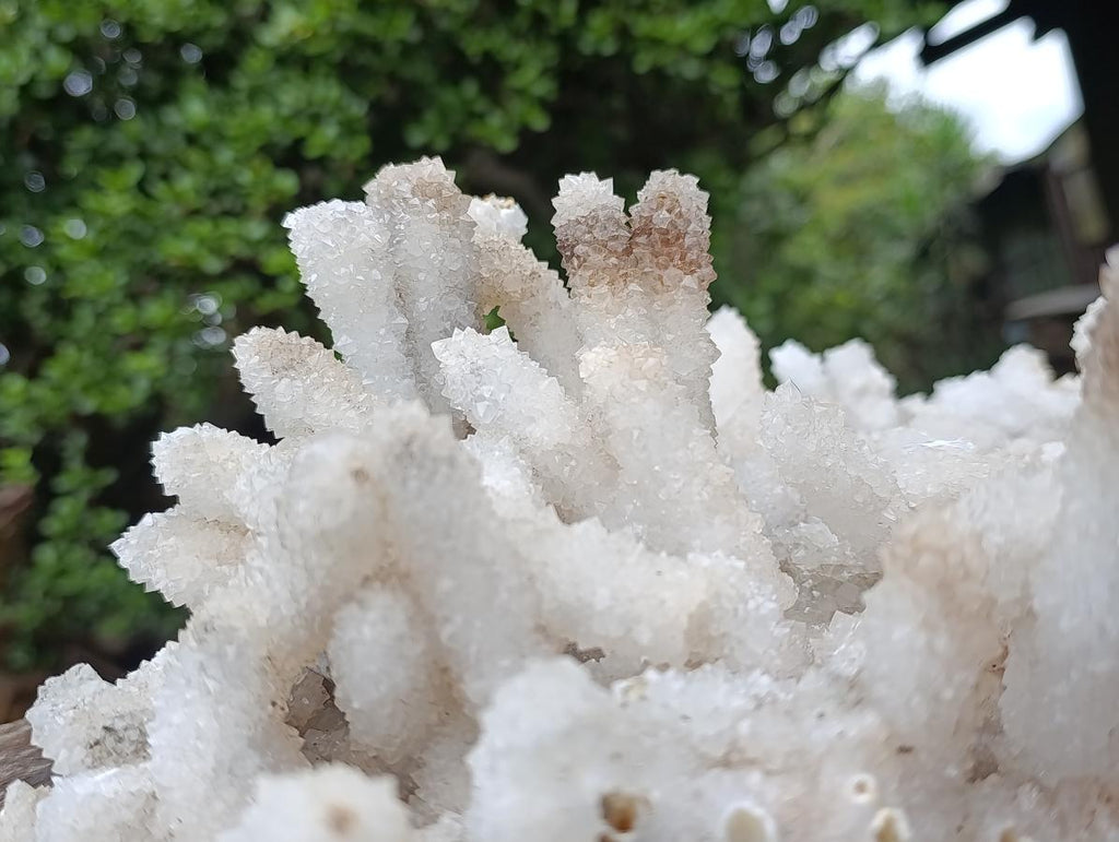 Natural XL Lesotho Snow Finger Crystal Cluster x 1 From Albert's Mountain, Lesotho
