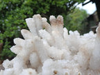 Natural XL Lesotho Snow Finger Crystal Cluster x 1 From Albert's Mountain, Lesotho