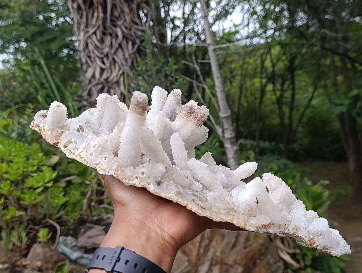 Natural XL Lesotho Snow Finger Crystal Cluster x 1 From Albert's Mountain, Lesotho