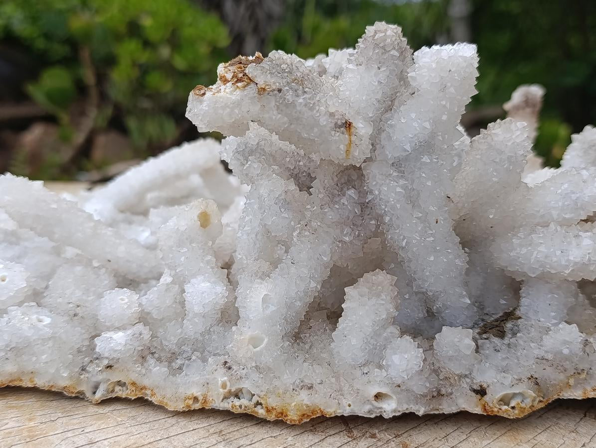 Natural XL Lesotho Snow Finger Crystal Cluster x 1 From Albert's Mountain, Lesotho