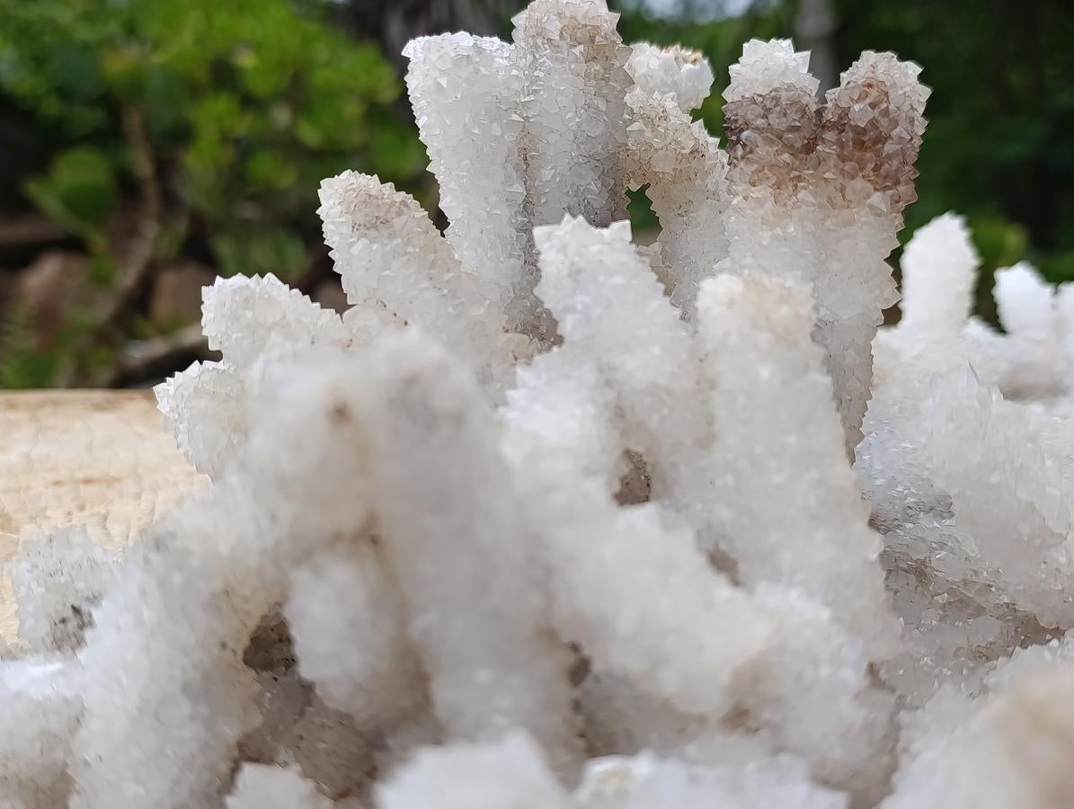 Natural XL Lesotho Snow Finger Crystal Cluster x 1 From Albert's Mountain, Lesotho
