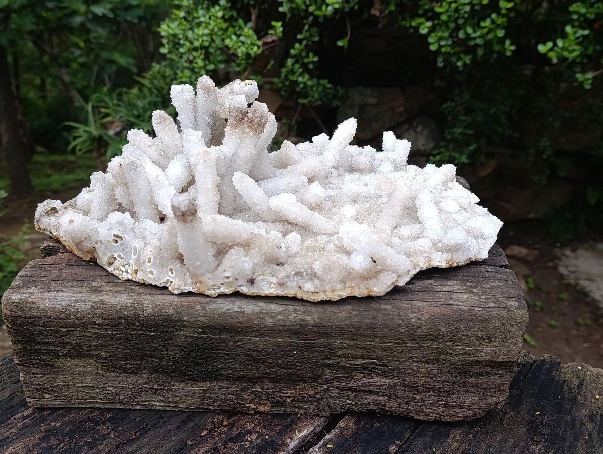 Natural XL Lesotho Snow Finger Crystal Cluster x 1 From Albert's Mountain, Lesotho