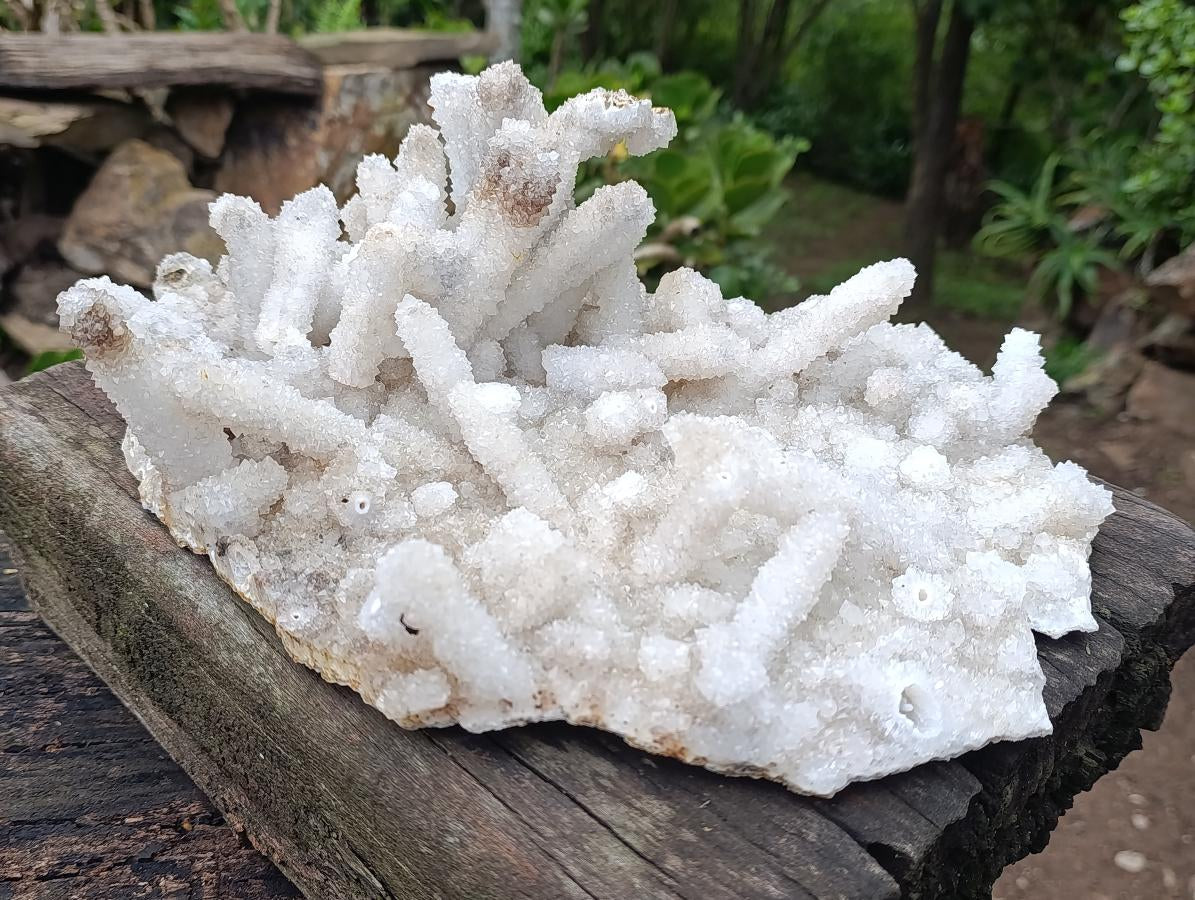 Natural XL Lesotho Snow Finger Crystal Cluster x 1 From Albert's Mountain, Lesotho