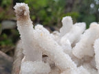 Natural XL Lesotho Snow Finger Crystal Cluster x 1 From Albert's Mountain, Lesotho