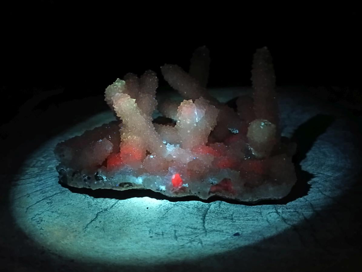 Natural Large Lesotho Snow Finger Crystal Cluster x 1 From Albert's Mountain, Lesotho