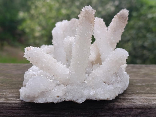Natural Large Lesotho Snow Finger Crystal Cluster x 1 From Albert's Mountain, Lesotho