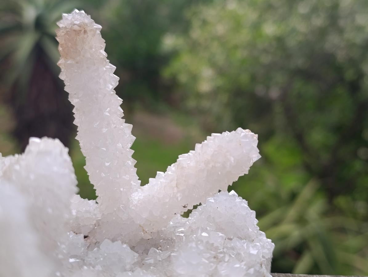 Natural Large Lesotho Snow Finger Crystal Cluster x 1 From Albert's Mountain, Lesotho