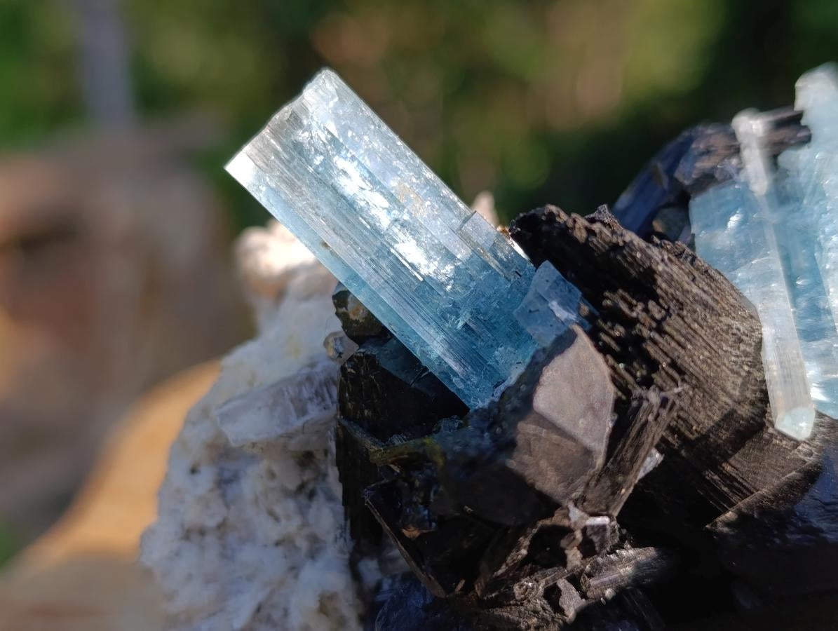 Natural Large Cluster of Gemmy Aquamarine and Black Tourmaline Specimen x 1 From Erongo, Namibia