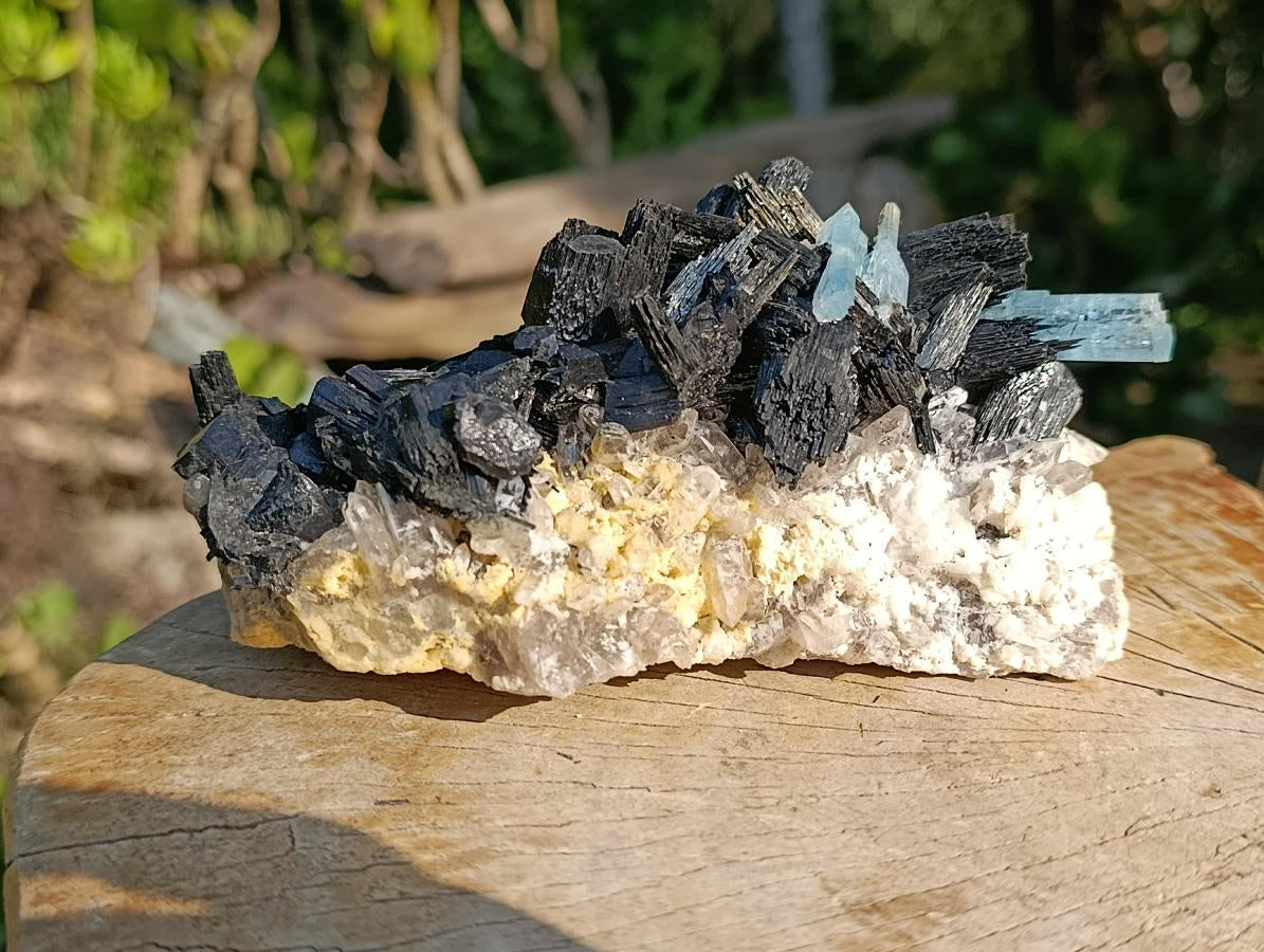 Natural Large Cluster of Gemmy Aquamarine and Black Tourmaline Specimen x 1 From Erongo, Namibia