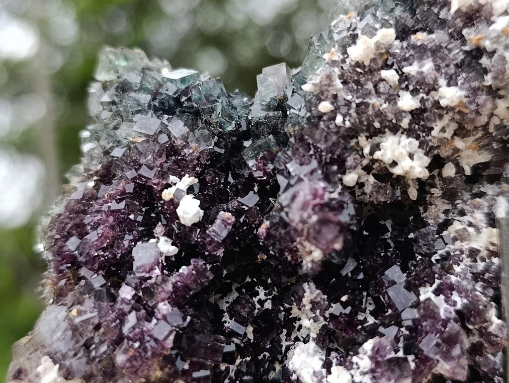 Natural Green Cubic Fluorite Floater Specimen x 1 From Okorusu, Namibia