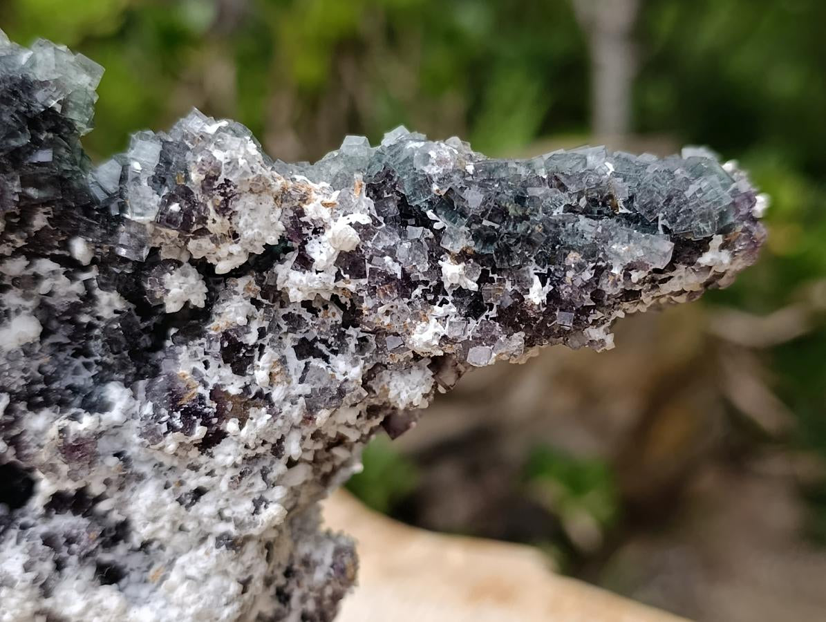 Natural Green Cubic Fluorite Floater Specimen x 1 From Okorusu, Namibia