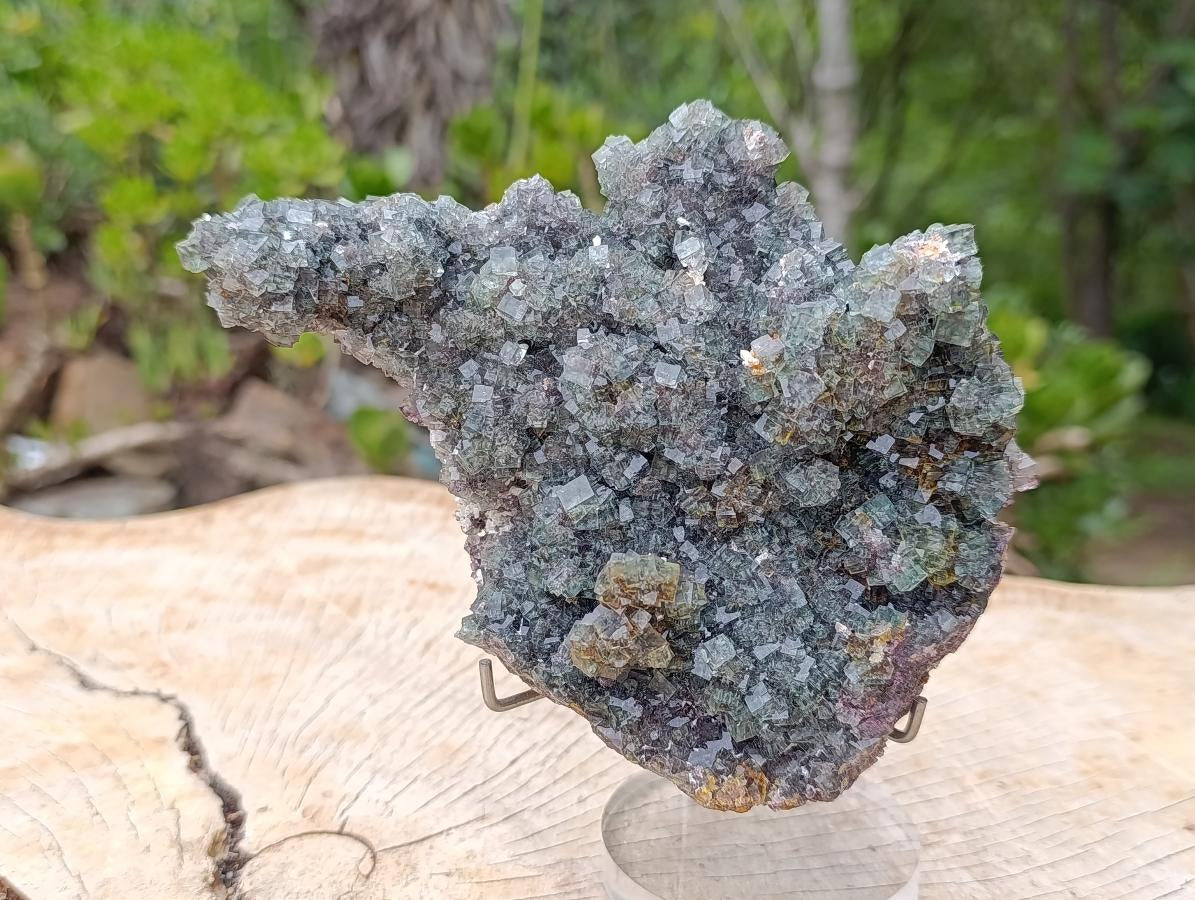 Natural Green Cubic Fluorite Floater Specimen x 1 From Okorusu, Namibia