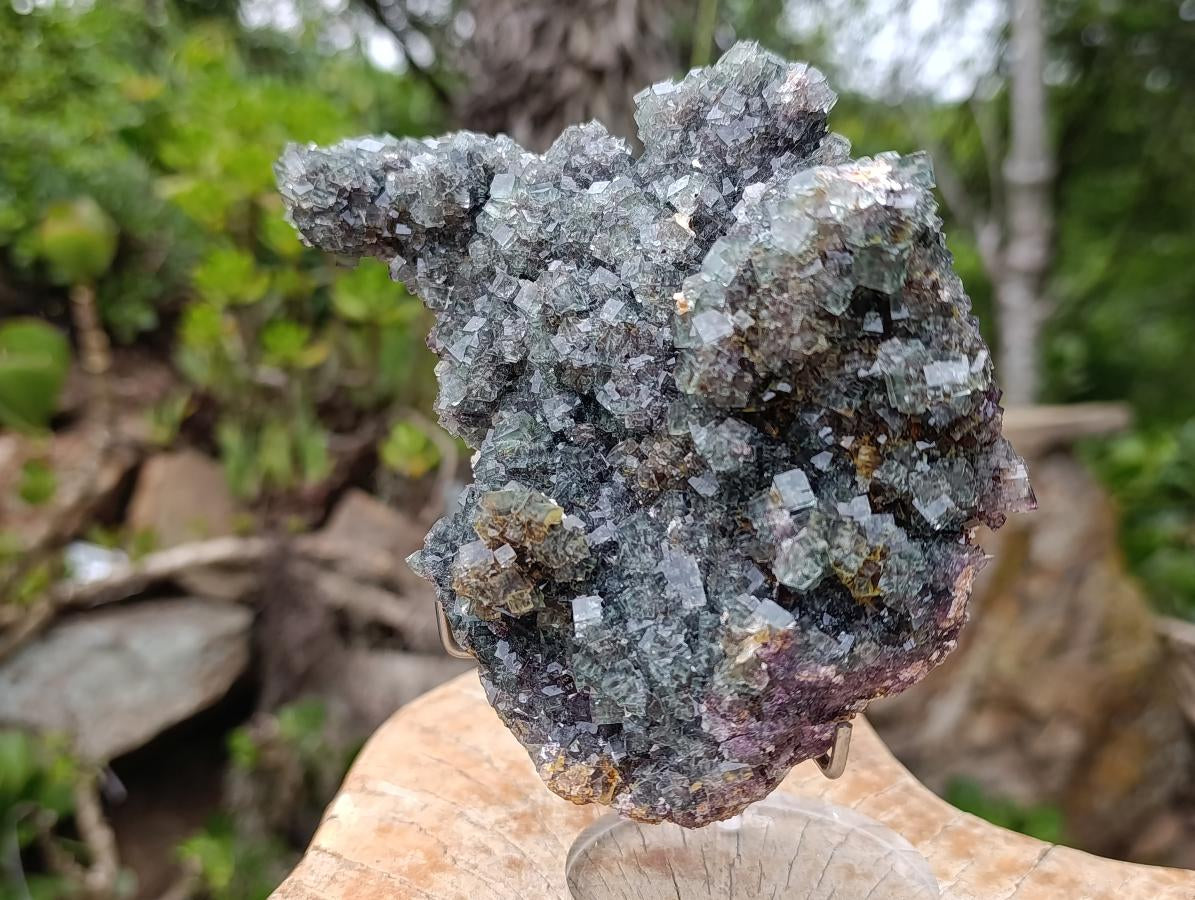 Natural Green Cubic Fluorite Floater Specimen x 1 From Okorusu, Namibia