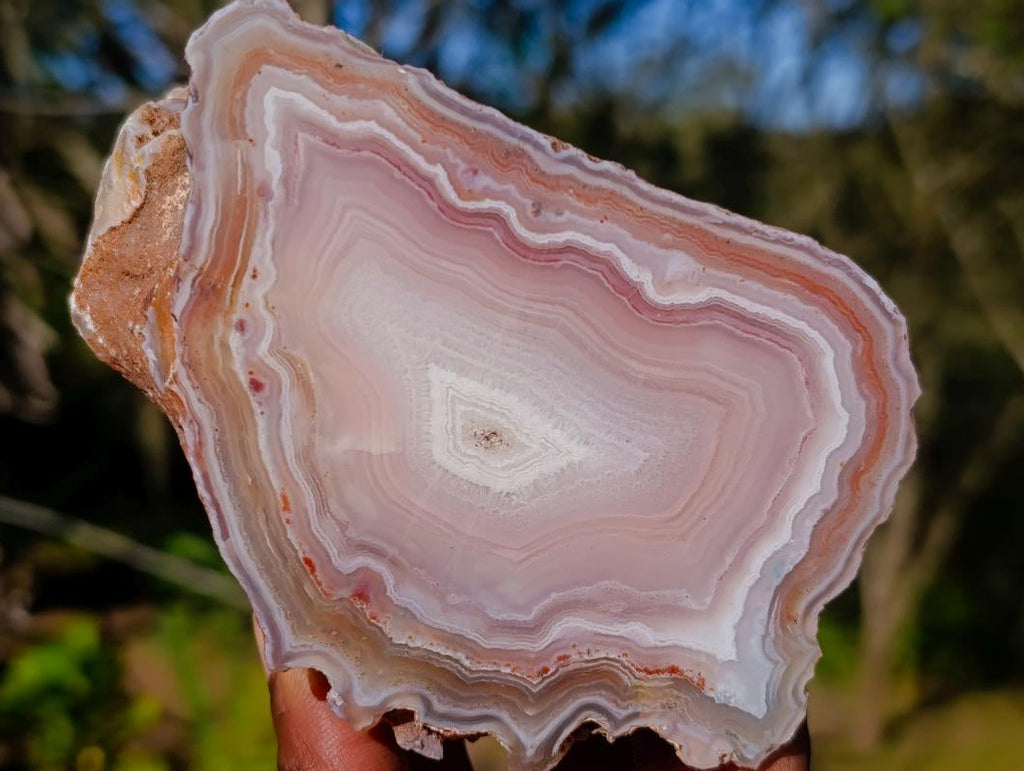 Polished One Side Identical Twin Pair of Sashe River Agate Nodules x 1 From Sashe River, Zimbabwe