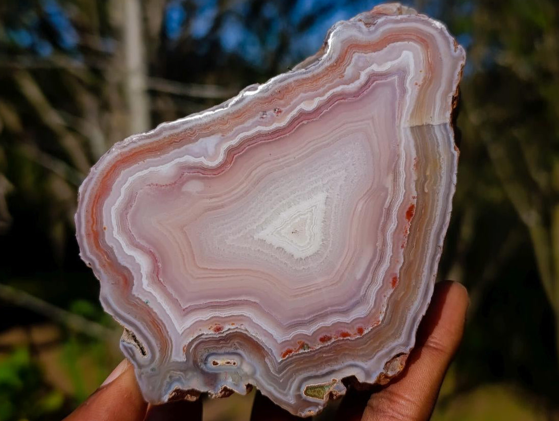 Polished One Side Identical Twin Pair of Sashe River Agate Nodules x 1 From Sashe River, Zimbabwe