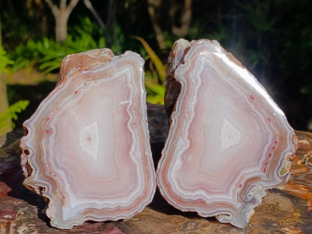Polished One Side Identical Twin Pair of Sashe River Agate Nodules x 1 From Sashe River, Zimbabwe