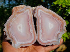 Polished One Side Identical Twin Pair of Sashe River Agate Nodules x 1 From Sashe River, Zimbabwe