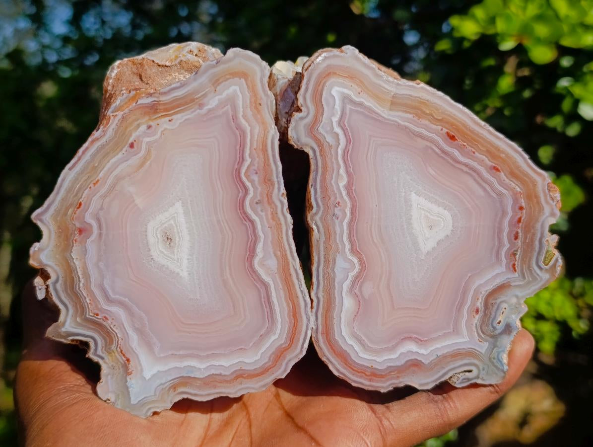 Polished One Side Identical Twin Pair of Sashe River Agate Nodules x 1 From Sashe River, Zimbabwe