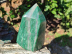 Polished Budstone Display Crystal x 1 From Swaziland