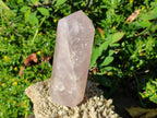 Polished Gemmy Pink Rose Quartz Display Crystal x 1 From Ambatondrazaka, Madagascar